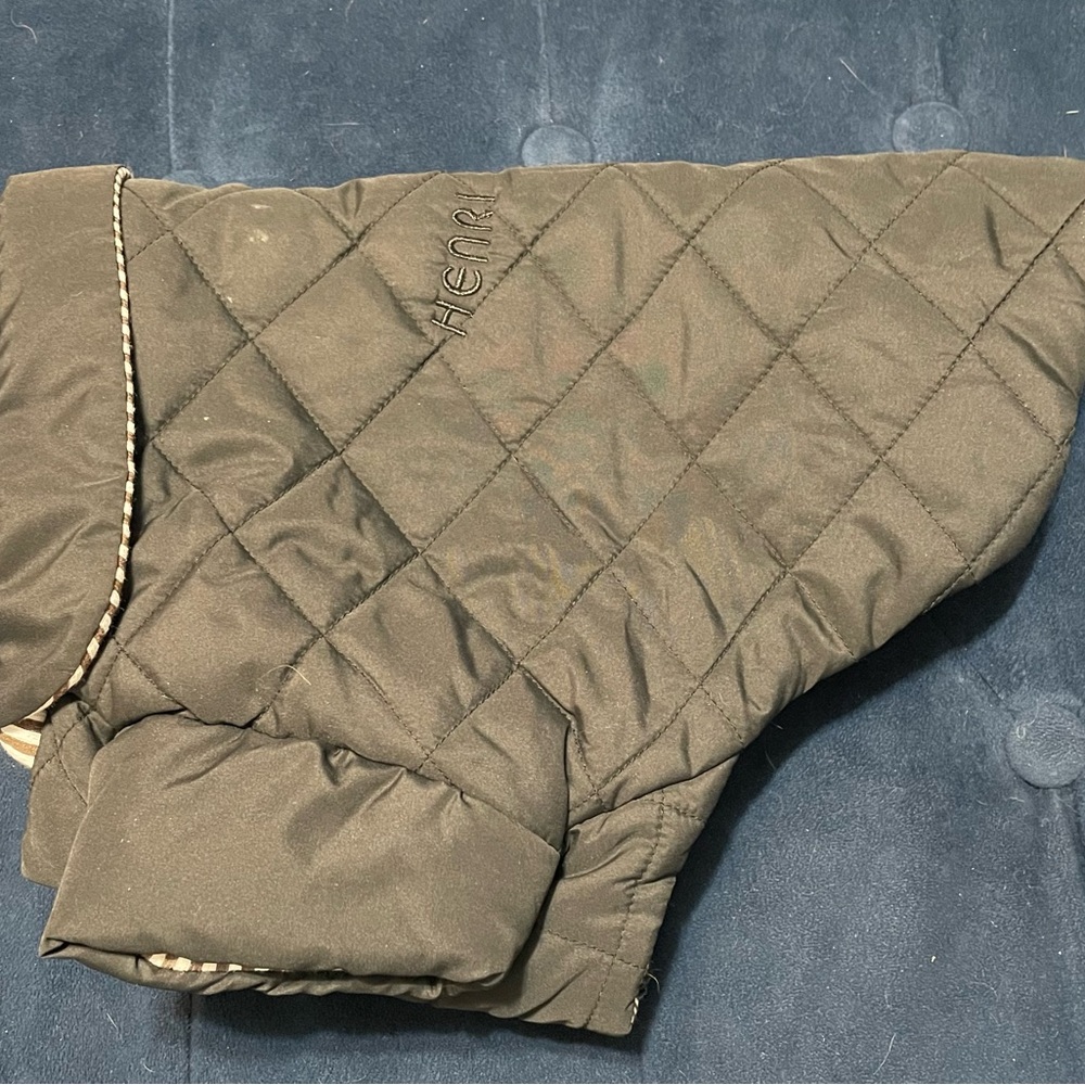 henri bendel small dog jacket
